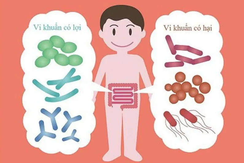 Thời Gian Sử Dụng Cho Từng Tình Trạng Cụ Thể